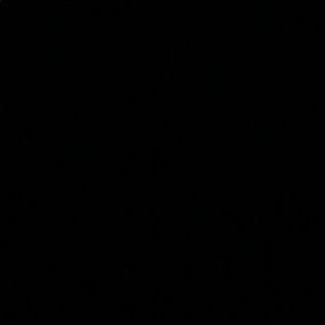 Meet your Posher, Elena